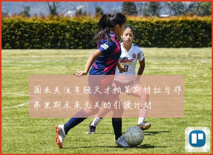 国米关注年轻天才帕莱斯特拉与邓弗里斯未来无关的引援计划