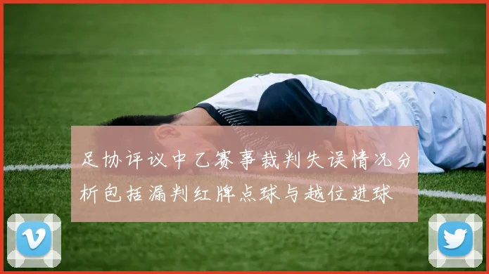 足协评议中乙赛事裁判失误情况分析包括漏判红牌点球与越位进球