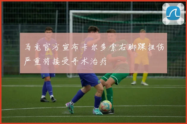 马竞官方宣布卡尔多索右脚踝扭伤严重将接受手术治疗