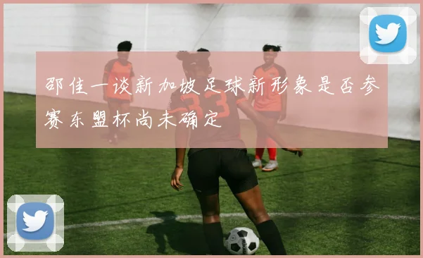 邵佳一谈新加坡足球新形象是否参赛东盟杯尚未确定